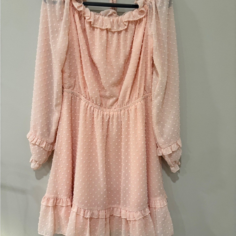 Women's Size M Swiss Dot Dress with Sheer Sleeves